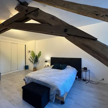 Le Moderne - 6pers - Bugatti Circuit - Zoo Vakantiehuis Cérans-Foulletourte