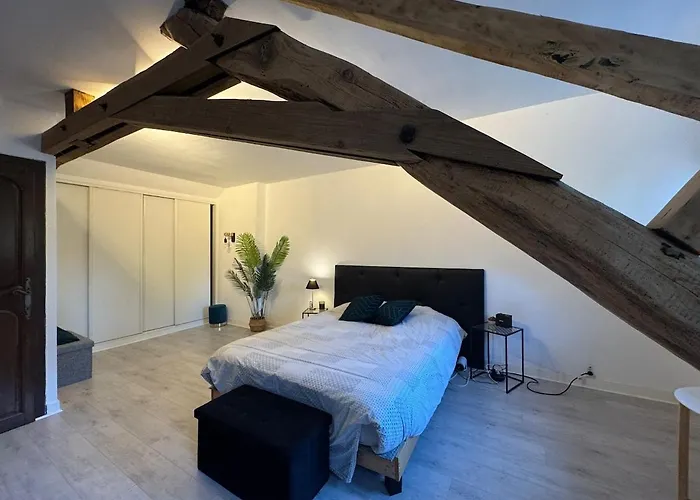 Le Moderne - 6pers - Bugatti Circuit - Zoo Vakantiehuis Cérans-Foulletourte