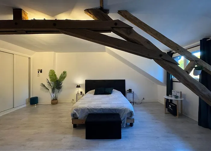 Le Moderne - 6pers - Bugatti Circuit - Zoo Vakantiehuis *